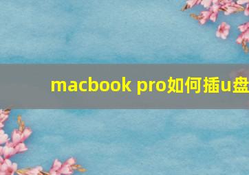 macbook pro如何插u盘