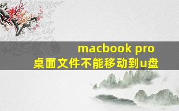 macbook pro桌面文件不能移动到u盘