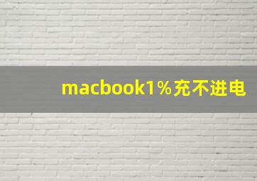 macbook1%充不进电