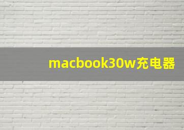 macbook30w充电器