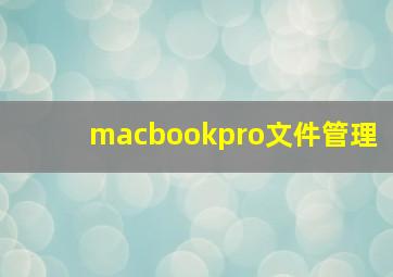 macbookpro文件管理