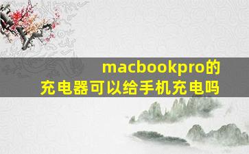 macbookpro的充电器可以给手机充电吗