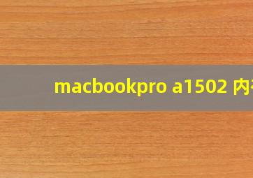 macbookpro a1502 内存