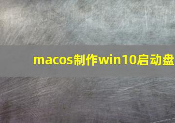 macos制作win10启动盘