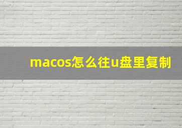 macos怎么往u盘里复制