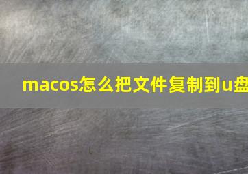 macos怎么把文件复制到u盘