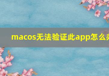 macos无法验证此app怎么办