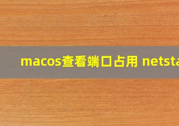 macos查看端口占用 netstat