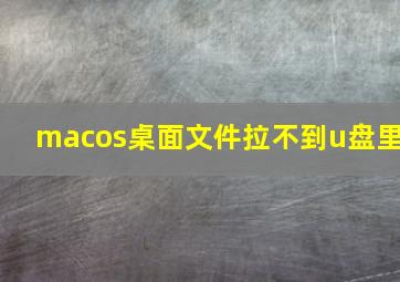 macos桌面文件拉不到u盘里