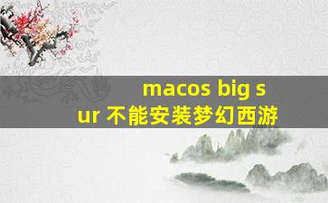 macos big sur 不能安装梦幻西游