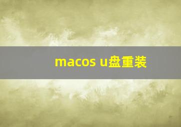 macos u盘重装