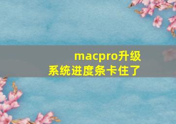 macpro升级系统进度条卡住了