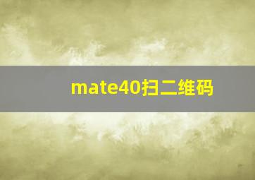 mate40扫二维码