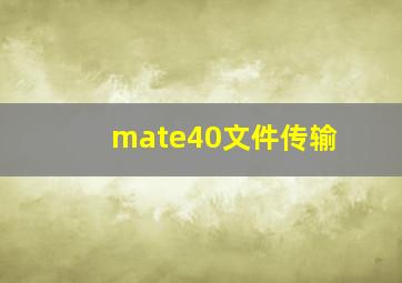 mate40文件传输