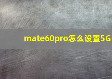 mate60pro怎么设置5G