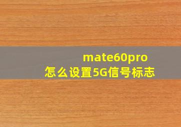 mate60pro怎么设置5G信号标志