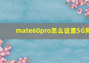 mate60pro怎么设置5G网