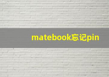 matebook忘记pin