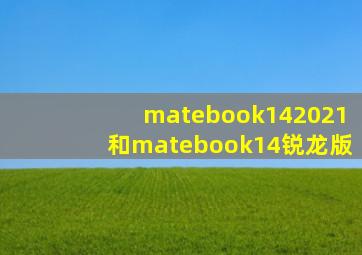 matebook142021和matebook14锐龙版