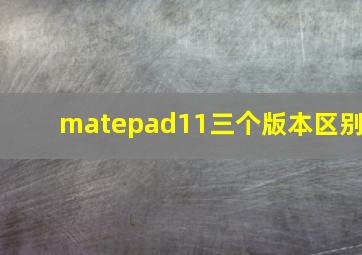 matepad11三个版本区别