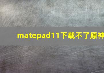 matepad11下载不了原神