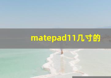 matepad11几寸的