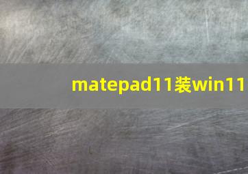 matepad11装win11