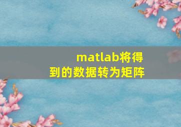 matlab将得到的数据转为矩阵