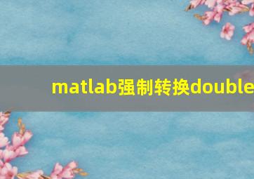 matlab强制转换double