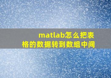 matlab怎么把表格的数据转到数组中间