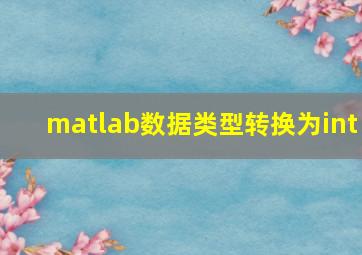 matlab数据类型转换为int