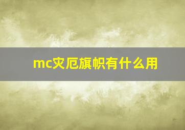 mc灾厄旗帜有什么用