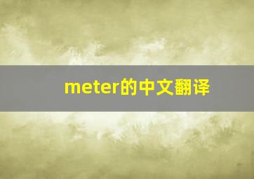 meter的中文翻译