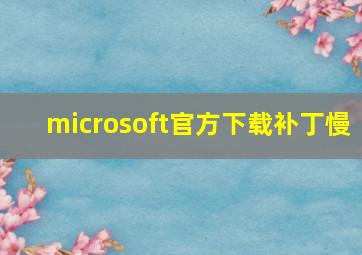 microsoft官方下载补丁慢