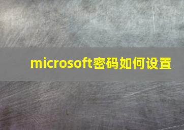 microsoft密码如何设置