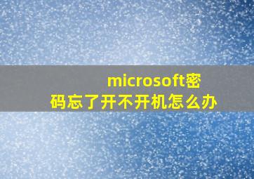 microsoft密码忘了开不开机怎么办