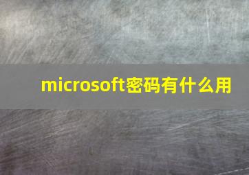 microsoft密码有什么用