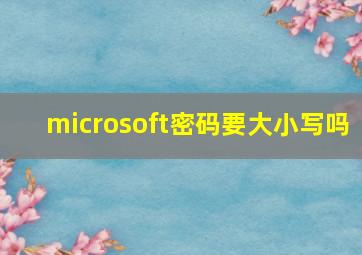 microsoft密码要大小写吗