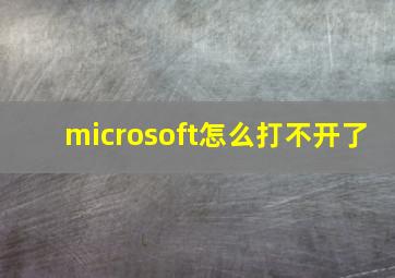 microsoft怎么打不开了