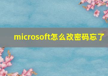 microsoft怎么改密码忘了