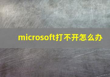 microsoft打不开怎么办