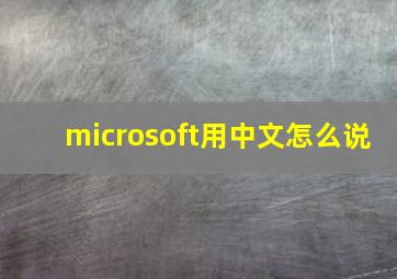 microsoft用中文怎么说