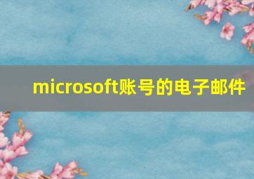 microsoft账号的电子邮件