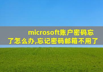 microsoft账户密码忘了怎么办,忘记密码邮箱不用了