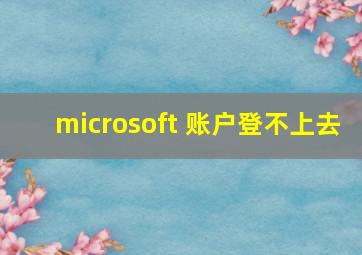 microsoft 账户登不上去