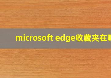 microsoft edge收藏夹在哪