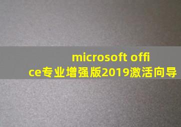 microsoft office专业增强版2019激活向导