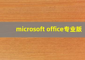 microsoft office专业版