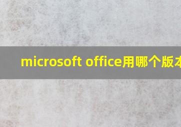 microsoft office用哪个版本