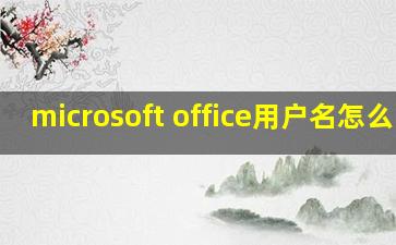 microsoft office用户名怎么改